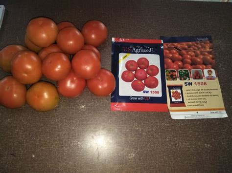 Us Agri Tomato F1 Hybrid Seeds Packaging Type Packet At Best Price In