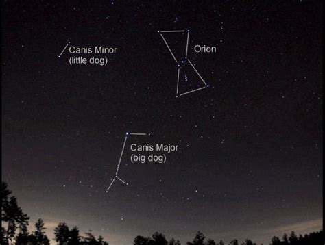 Constellations Canis Minor