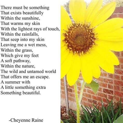 Summer Sunflower Yellow Flower Beautiful Poem Poetry Poet Poesia Lovely