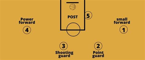 The Most Basic Youth Basketball Positions Info Hoops