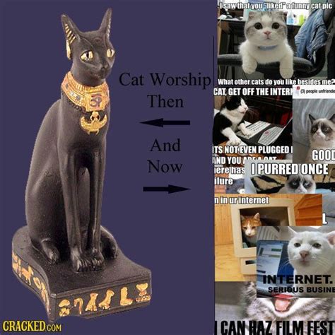 funny cat pictures cat pics what s new pussycat then vs now life questions whats new weird