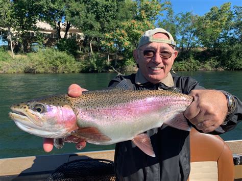 Fishing Big Wild Rainbow Trout In Redding