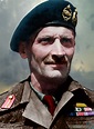 √ British Army Ranks Field Marshal - Va Kreeg