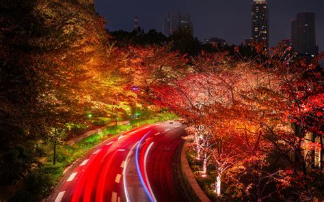 Ai, eps, pdf, svg, jpg, png archive size. Download wallpapers Tokyo, 4k, autumn, roads, traffic lights, Japan, Asia for desktop with ...