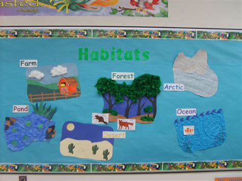 Kindergarten Animal Habitats