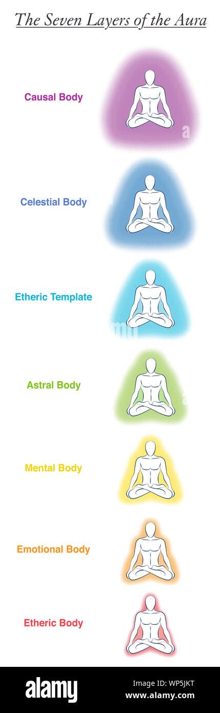Seven Aura Bodies Chart Of A Meditating Yoga Man Labeled Chart