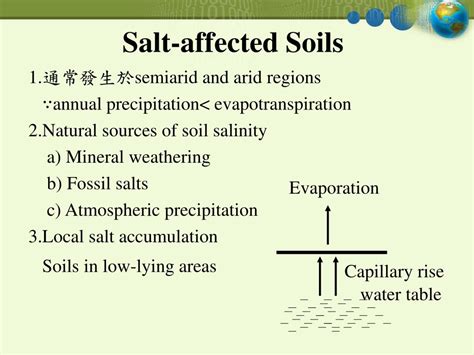 Ppt Salt Affected Soils Powerpoint Presentation Free Download Id