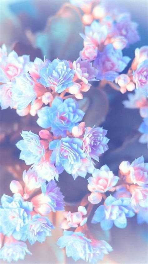 Aesthetic Blue And Pink Flowers Wallpapers Wallpaper Cave