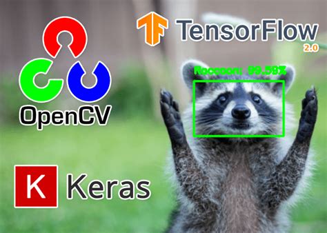 Region Proposal Object Detection With Opencv Keras And Tensorflow Vrogue