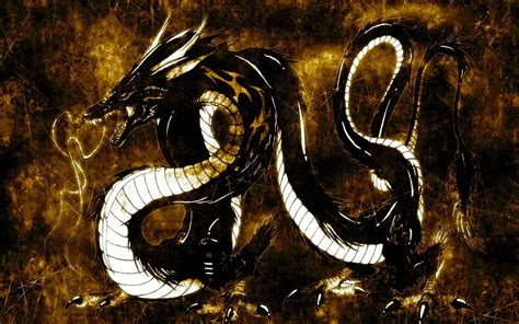 Black And White Dragon Illustration Dragon Hd Wallpaper Wallpaper Flare