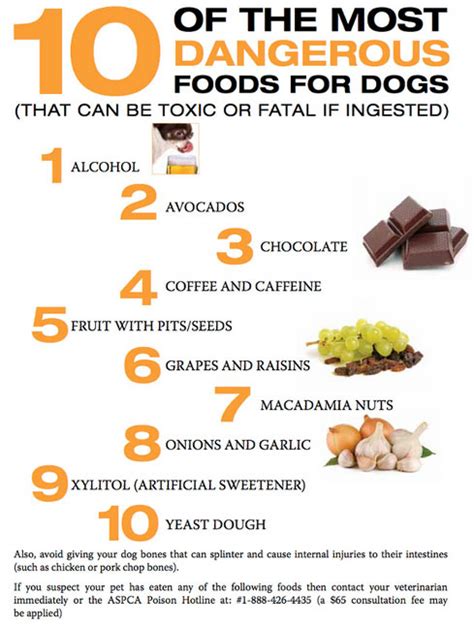 It is, however, high in sugar, so should be shared in moderation,. The Hidden Dangers Of Poisonous, Unhealthy Dog Food ...