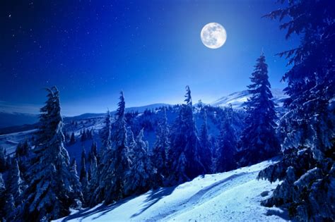 Pleine Lune Sur La Forêt Profonde Dhiver Recouverte De Neige Dans La