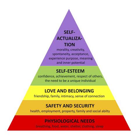 Piramide Di Maslow Piramide Di Maslow E Marketing I Bisogni Di Maslow