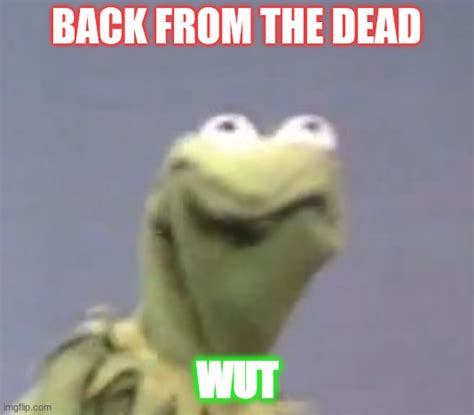 Kermit The From Ded Imgflip
