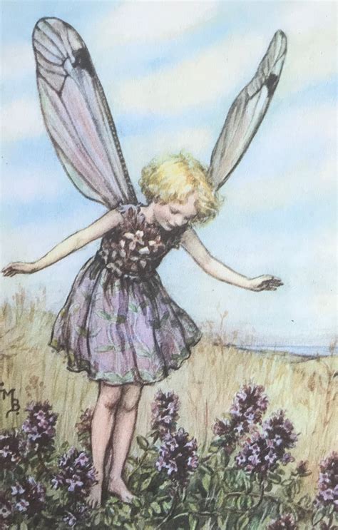 The Wild Thyme Fairy Cicely Mary Barker Flower Fairies Etsy