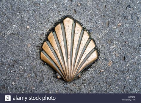 A Scallop Shell Symbol Depicting The Way Of Saint James Camino De
