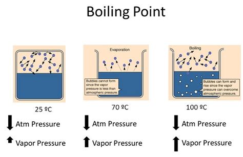 Equilibrium Vapor Pressure And Boiling Point Chemistry Stack Exchange