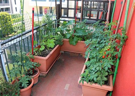20 Beautiful Apartment Balcony Vegetable Garden Ideas Balcony