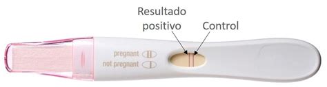 a cuantos dias se hace la prueba de embarazo lowest price save 47 jlcatj gob mx