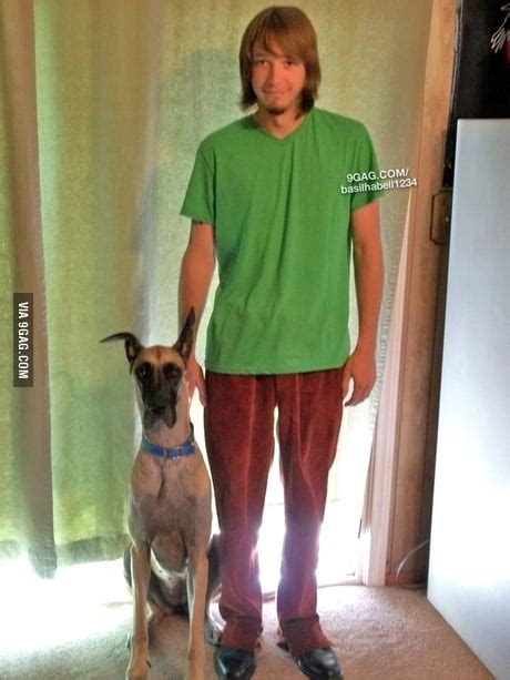 Shaggy Scooby Doo Real Life Sales Online Save 50 Jlcatjgobmx