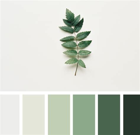 Design Seeds Grey Color Palette Nature Color Palette Color Tones