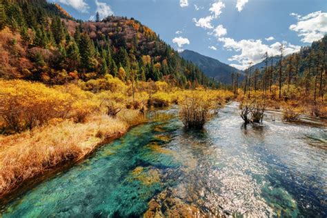 Scenic River With Crystal Water Among Fall Woods And Mountains Stock