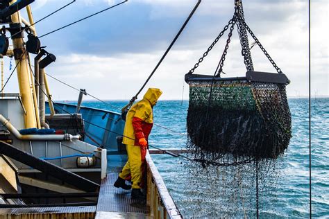 Pesca Illegale Quanto Ci Rimette Lafrica Nigrizia