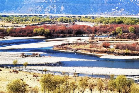 The Beautiful Scenery Around The Niyang River Background Red Willow