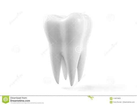 Photo Realistic Illustration Of A White Tooth Isolated Icon Tooth