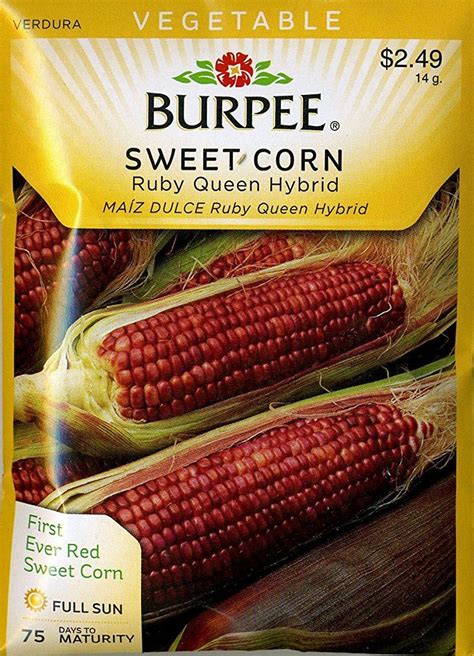 Burpee 63561 Corn Red Ruby Queen Hybrid Seed Packet Corn Seed