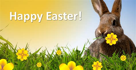 Wish all of you a happy eastern x3. Kostenlose PowerPoint Vorlagen zu Ostern jetzt im Gratis ...