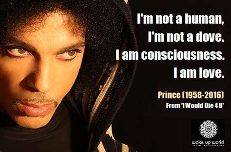 Prince Prince Quotes Prince Music Prince Rogers Nelson