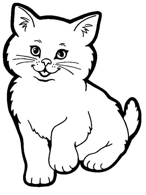 Divertido Gato Para Colorear Imprimir E Dibujar Coloringonly