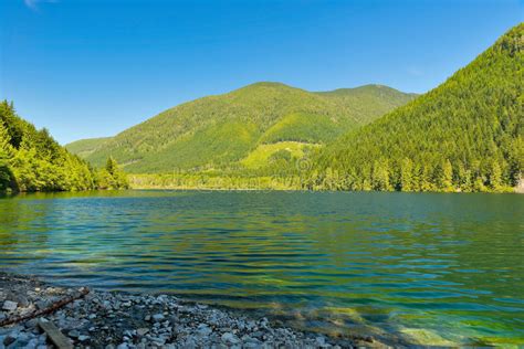 Wilderness Lake In Vancouver Island Bc Canada Stock Photo Image Of