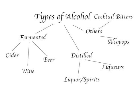 The Different Types Of Alcohol — A Comprehensive Guide Crafty Bartending