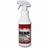 Effective Bed Bug Spray Images