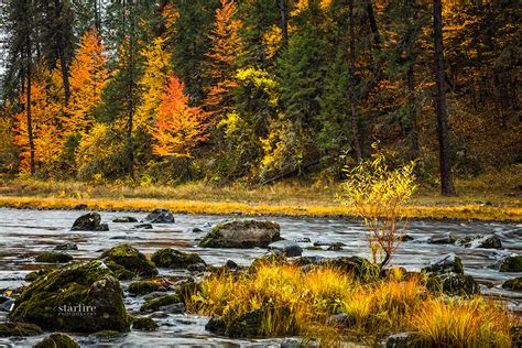 Autumn Along The Southfork Of The Clearwater In Idaho On Behance