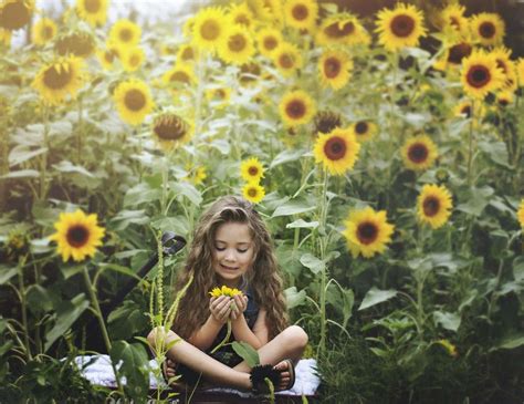 Sunflower Field Natural Light Photographers Toddler Photography 5