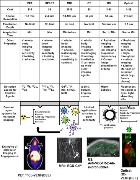 Advantages And Disadvantages Of Various Molecular Imaging Modalities