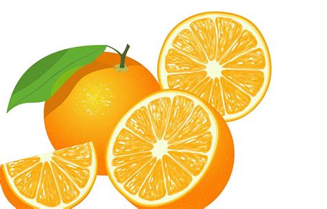 Whole Fresh Orange Fruit With Green Leaf Vector Ai Eps Uidownload