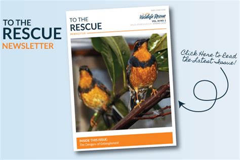 Newsletters Wildlife Rescue Association Of Bc