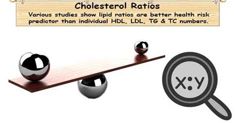 This tool functions as a total cholesterol, hdl, triglycerides and ldl calculator. Cholesterol Ratios: Total to HDL Ratio & Triglycerides to ...