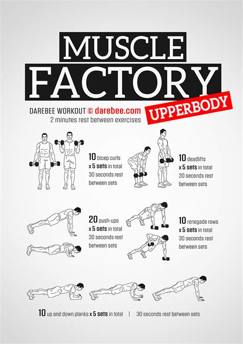 Muscle Factory Upperbody Workout