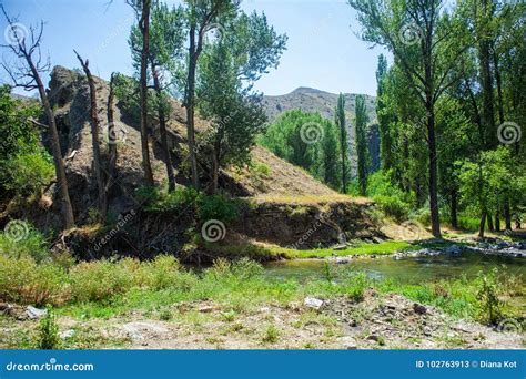 Azat River Canyon In Armenia Stock Image Image Of Panorama Peaceful