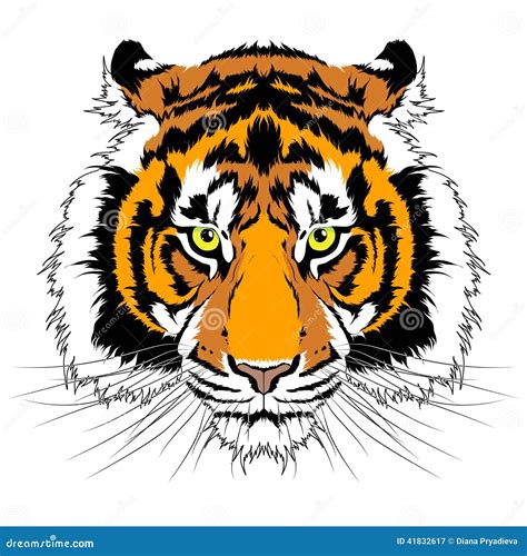 Tiger Head Stock Vector Illustration Of Painting Mammal 41832617