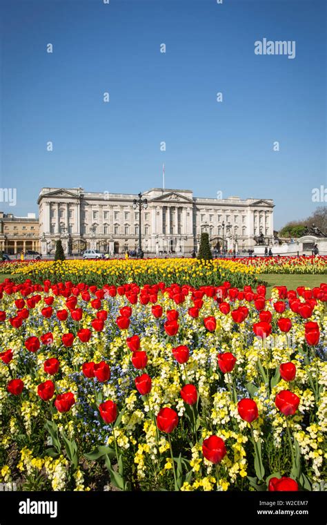 Buckingham Palace London England Uk Stock Photo Alamy
