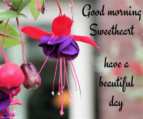 111 Good Morning Wishes For Sweetheart Best Images
