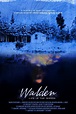 Walden: Life in The Woods (película 2017) - Tráiler. resumen, reparto y ...