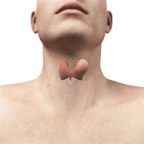 Sore Thyroid Neck Pain
