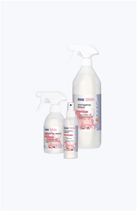 Disicide Skin Chlorhexidine 2 Spray Disicide Disinfection Products
